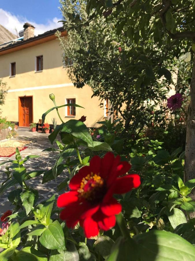 Guest House Sabriu Rabdisht Bagian luar foto